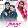 About Jaane (Lo-Fi) Song